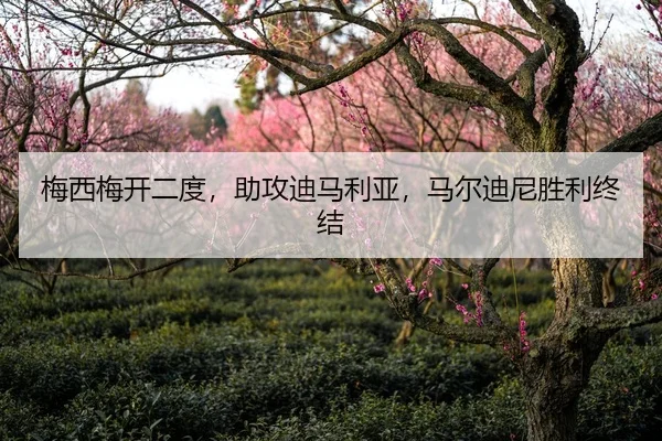 梅西梅开二度，助攻迪马利亚，马尔迪尼胜利终结