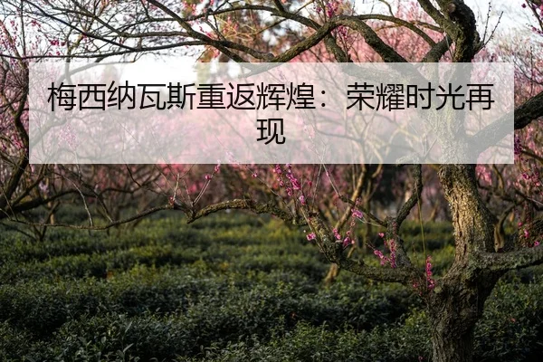梅西纳瓦斯重返辉煌：荣耀时光再现